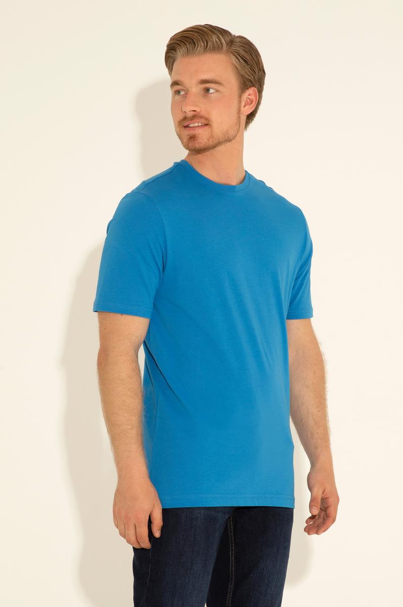 Erkek Regular Fit Bisiklet Yaka Saks Basic Tişört