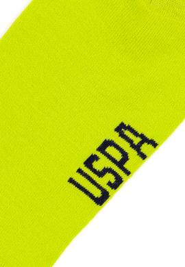 Erkek Fıstık Yeşili Çorap - 50286334004