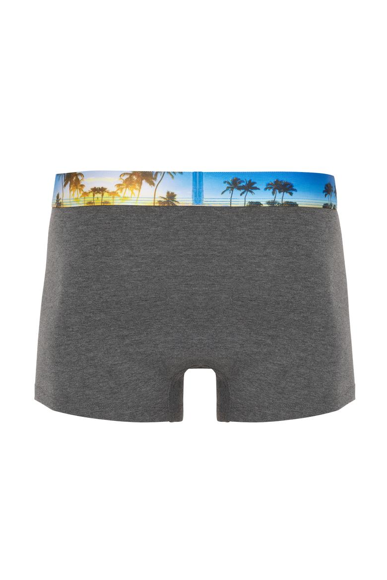 Erkek Antrasit Melanj İç Giyim Alt - 50297443002