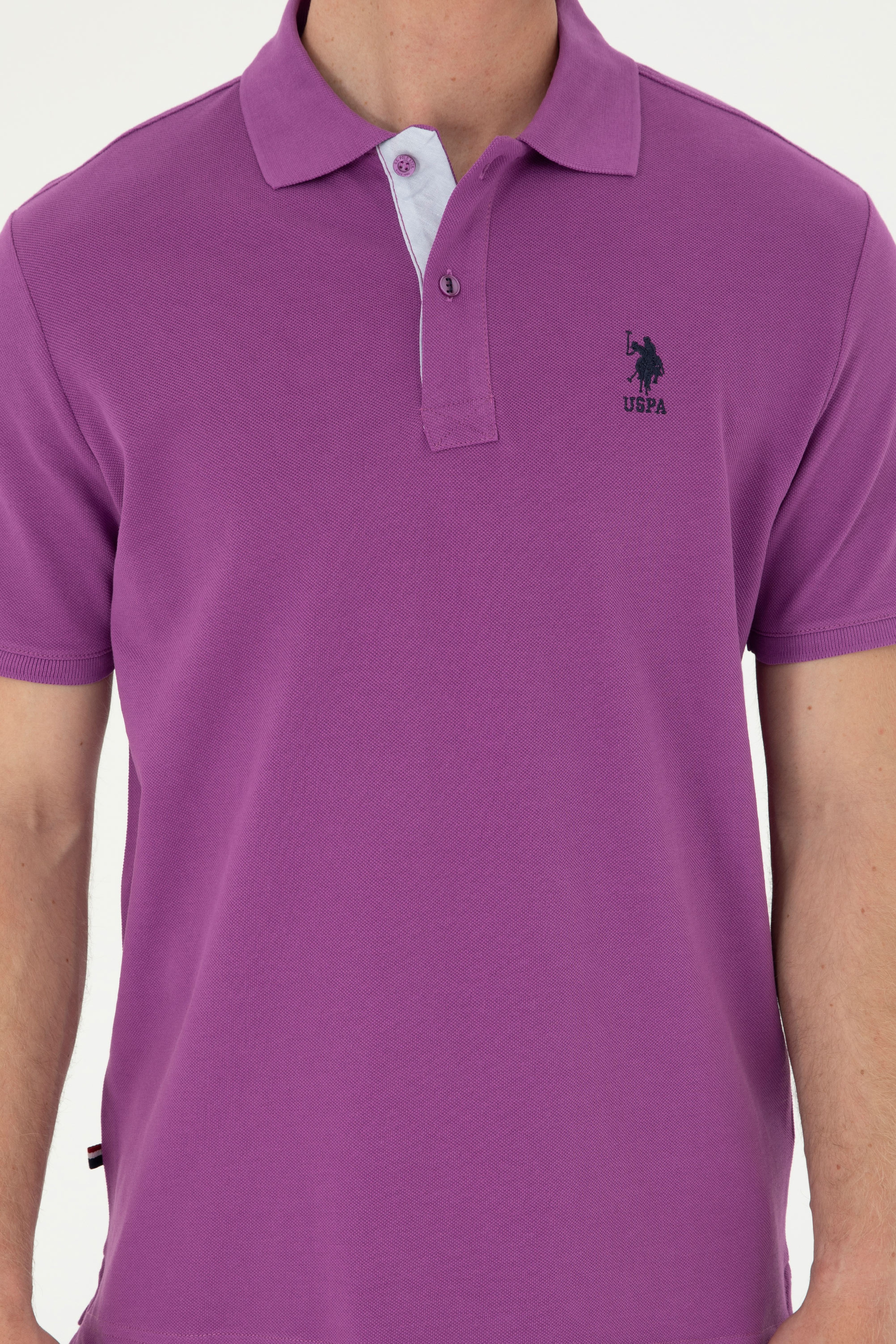 Erkek Mor Basic Tişört - Image 6