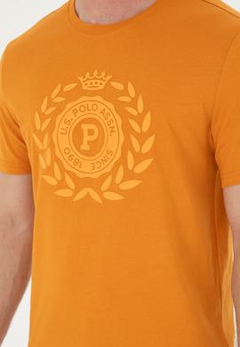 Erkek Regular Fit Bisiklet Yaka Kiremit Tişört - 50281567052