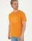Erkek Regular Fit Bisiklet Yaka Kiremit Tişört