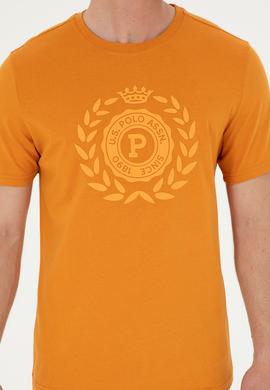 Erkek Regular Fit Bisiklet Yaka Kiremit Tişört - 50281567052