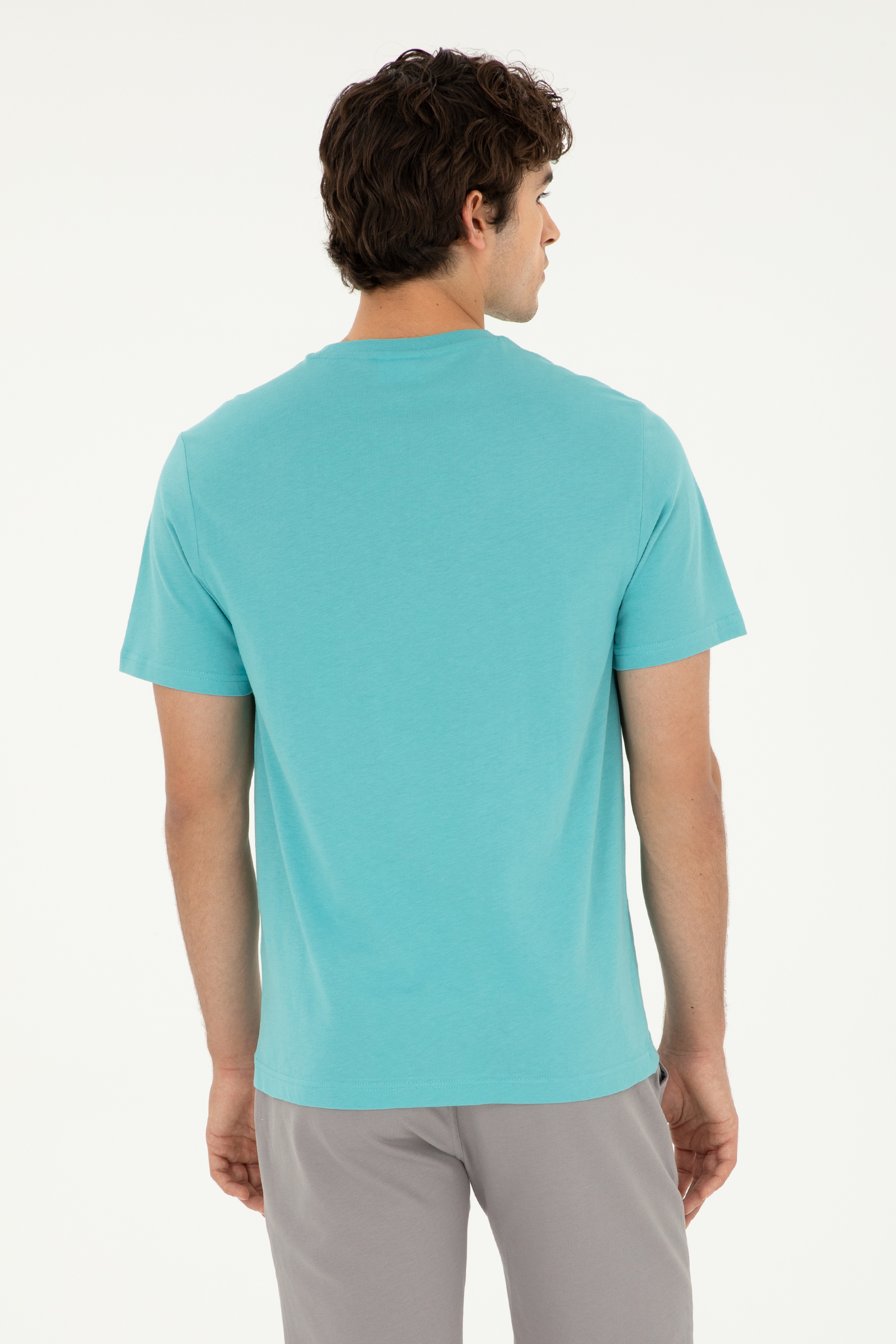 Erkek Regular Fit Bisiklet Yaka Mint Tişört - Image 5