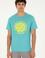 Erkek Regular Fit Bisiklet Yaka Mint Tişört