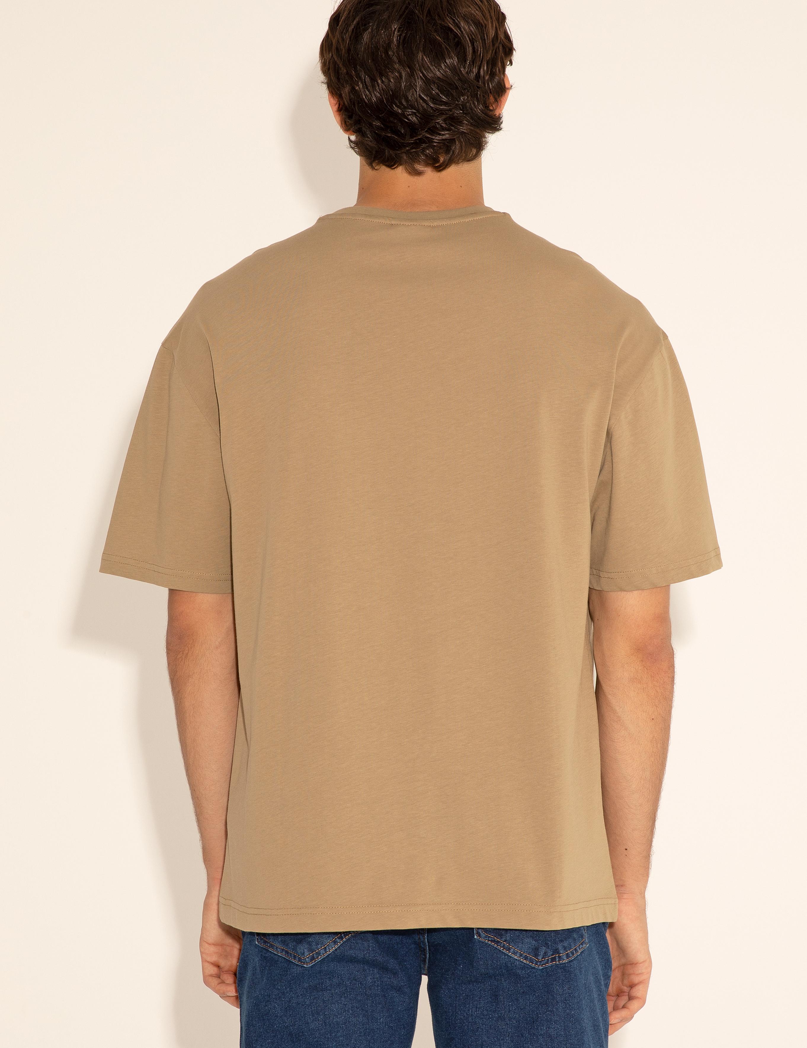 تی شرت یقه گرد آستین کوتاه ریلکس یقه گرد مردانه یو اس پولو | U.S. Polo Assn. - تصویر 6