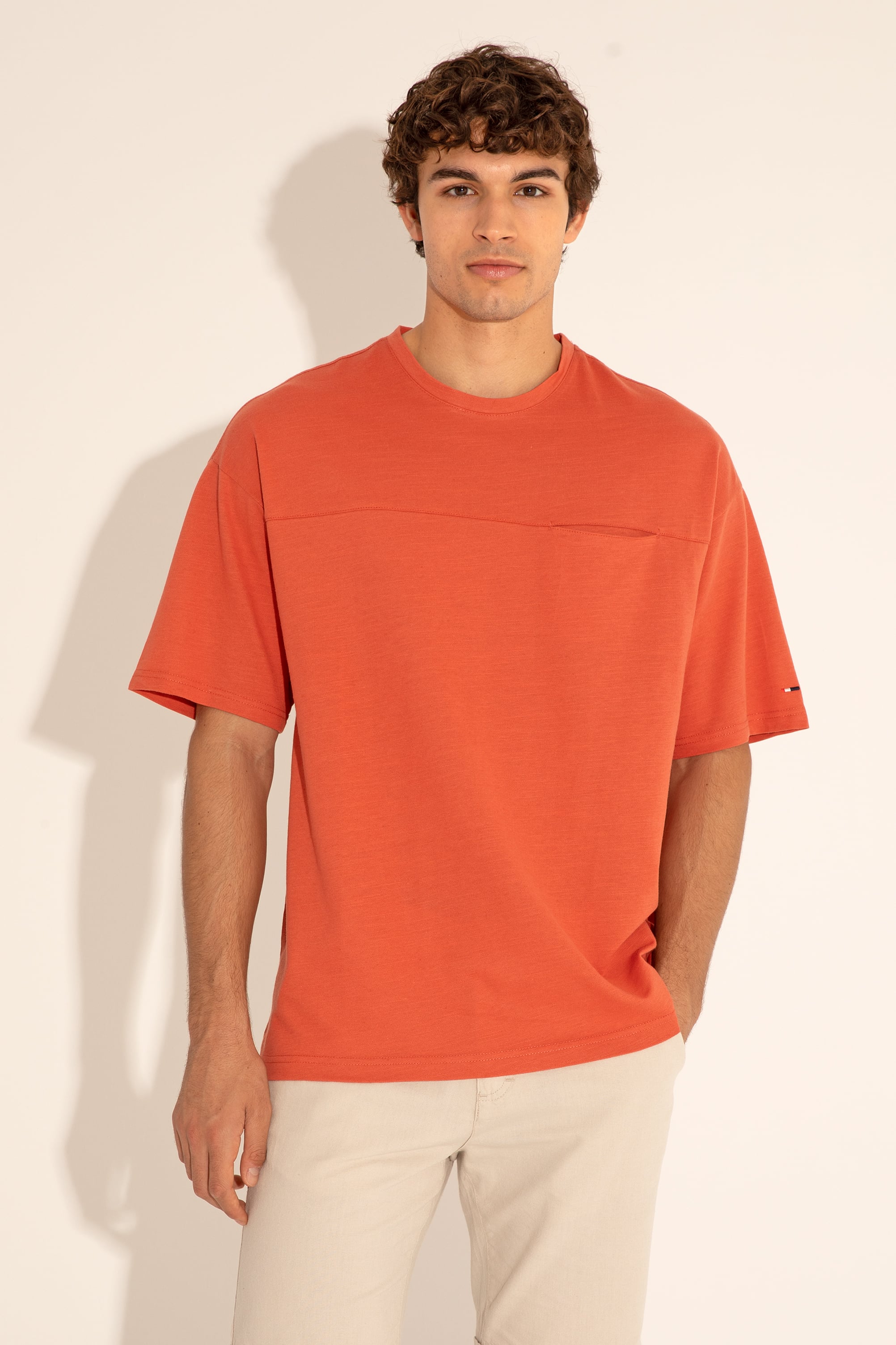 تی شرت یقه گرد آستین کوتاه ریلکس یقه گرد مردانه یو اس پولو | U.S. Polo Assn. - تصویر 5