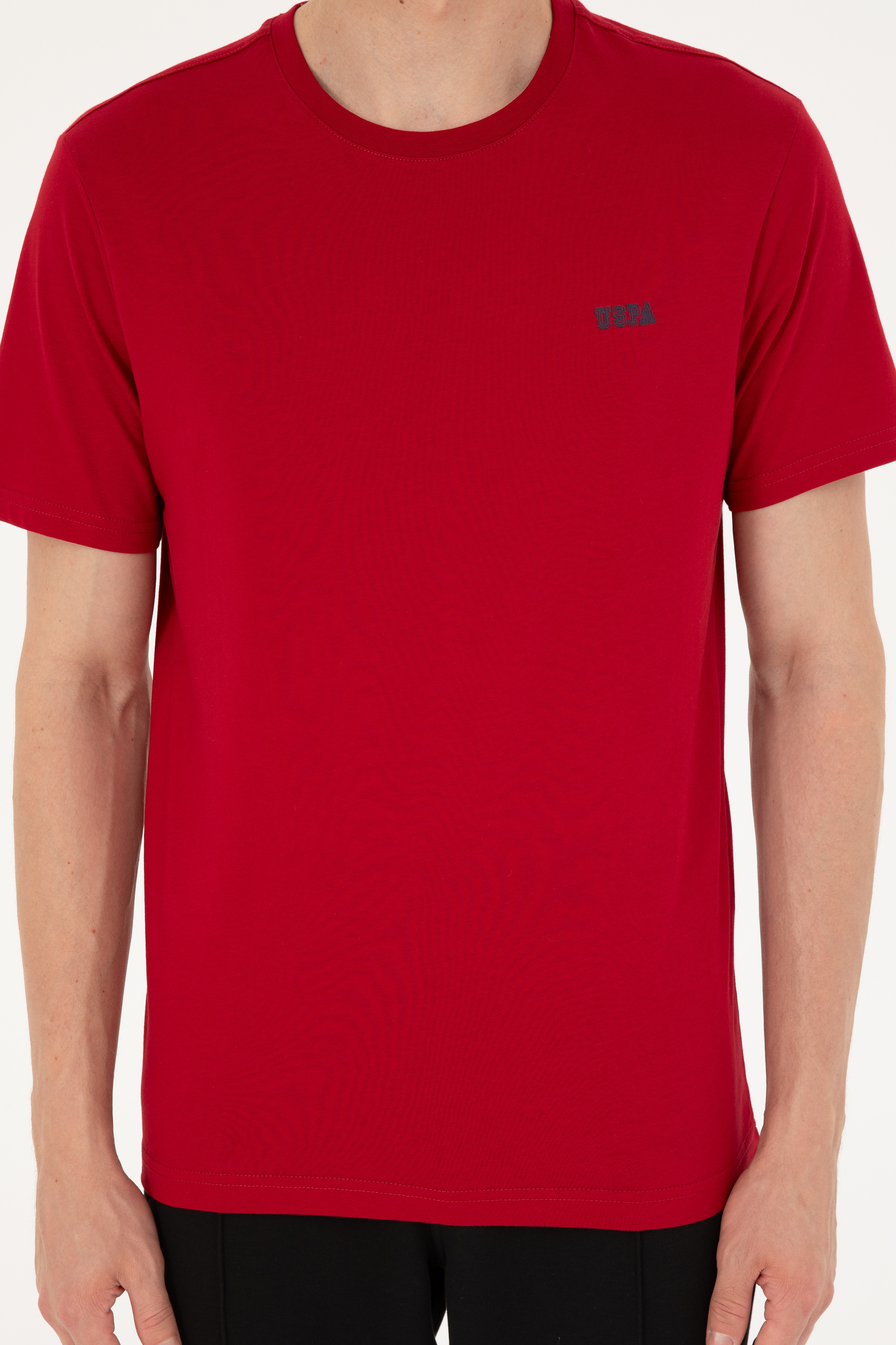 Erkek Regular Fit Bisiklet Yaka Bordo Tişört - Image 6