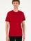 Erkek Regular Fit Bisiklet Yaka Bordo Tişört