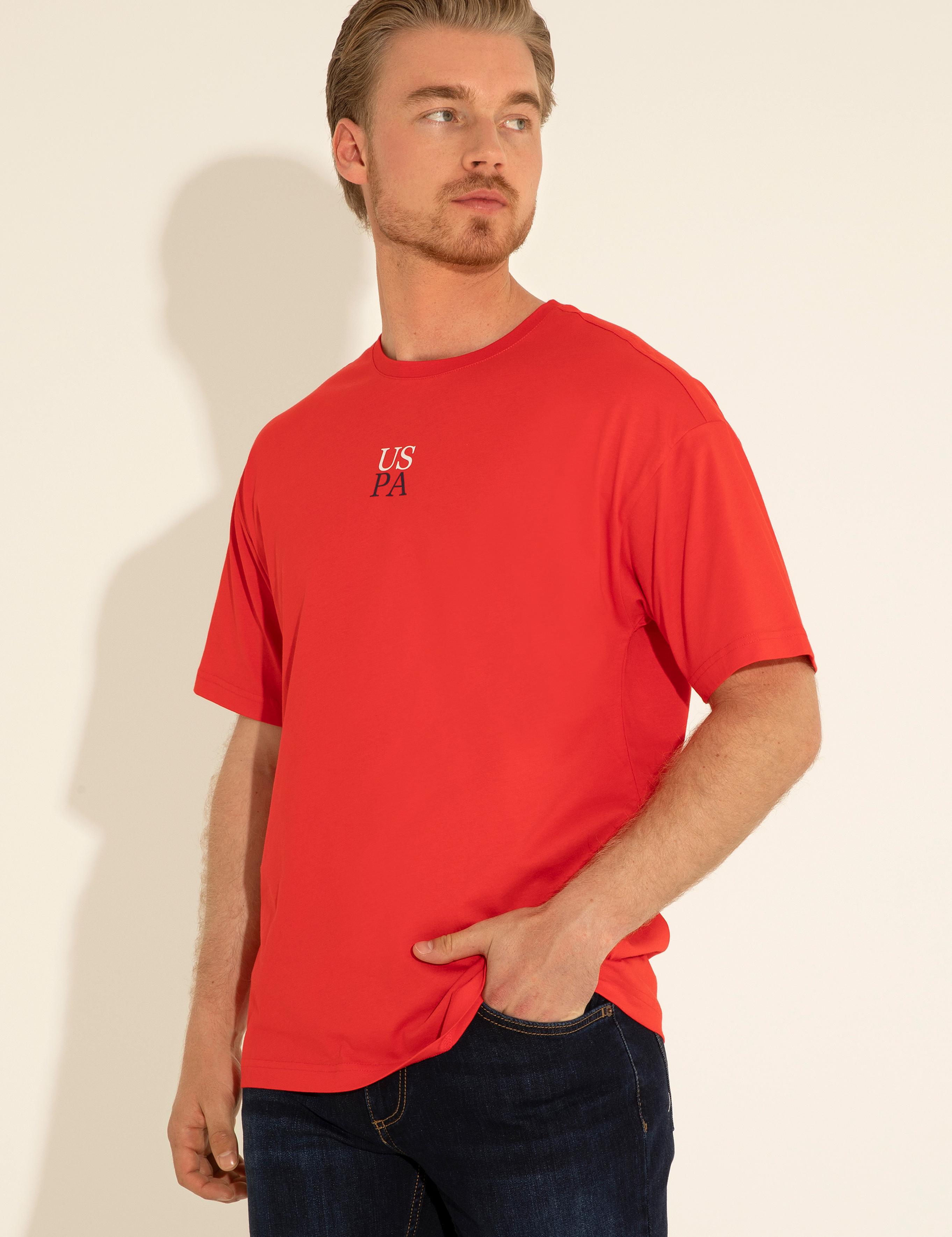 تی شرت یقه گرد آستین کوتاه ریلکس یقه گرد مردانه یو اس پولو | U.S. Polo Assn. - تصویر 2