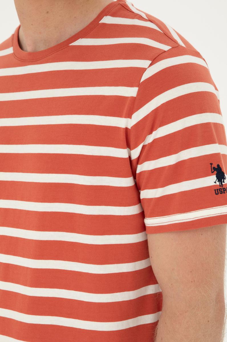 Erkek Regular Fit Bisiklet Yaka Pudra Tişört