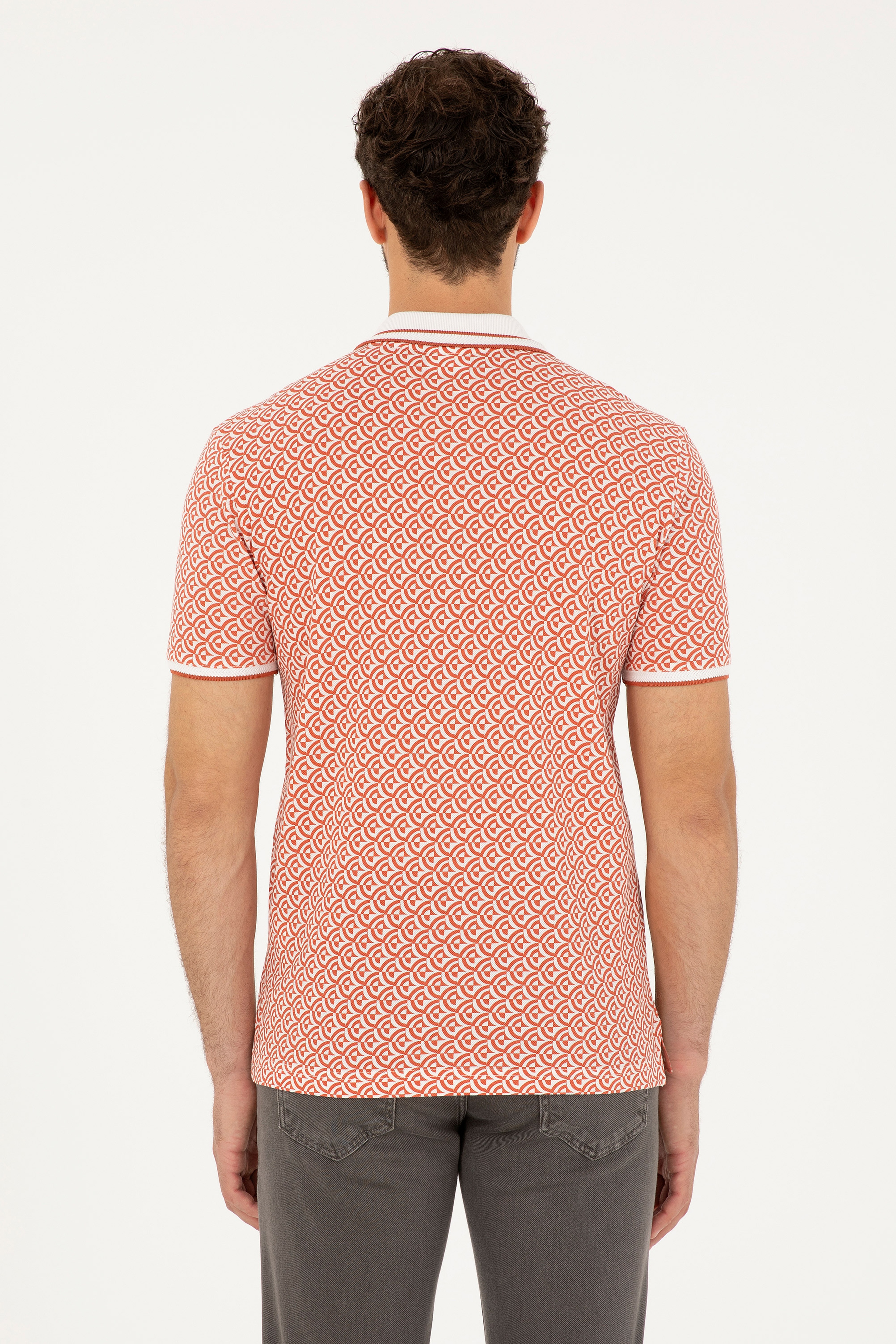 Erkek Regular Fit Polo Yaka Pudra Tişört - Image 5