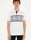 Erkek Regular Fit Polo Yaka Beyaz Tişört