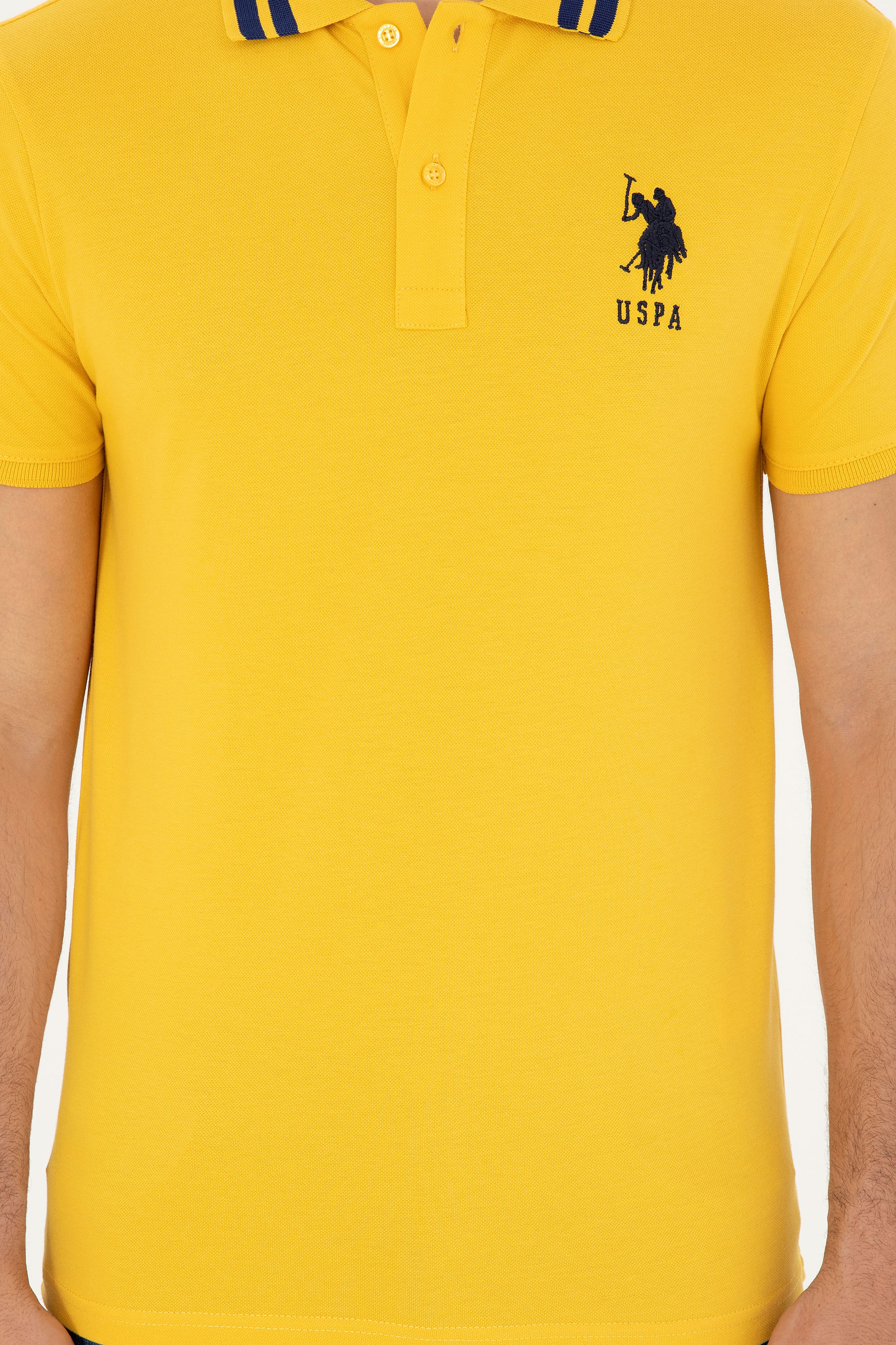 Erkek Safran Basic Tişört - Image 6