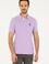 Erkek Regular Fit Polo Yaka Lila Basic Tişört