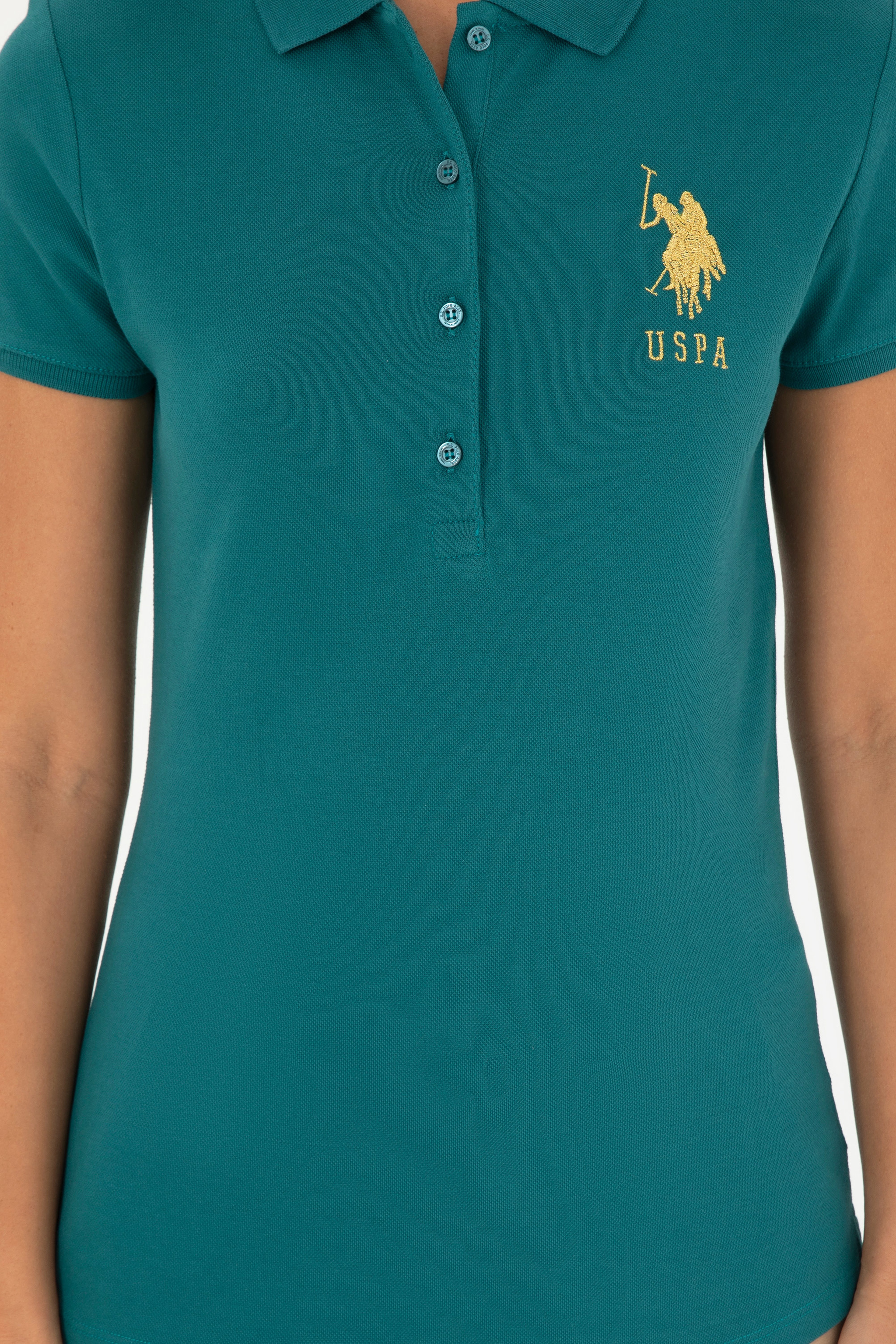 Kadın Koyu Yeşil Basic Polo Yaka Tişört - Image 6