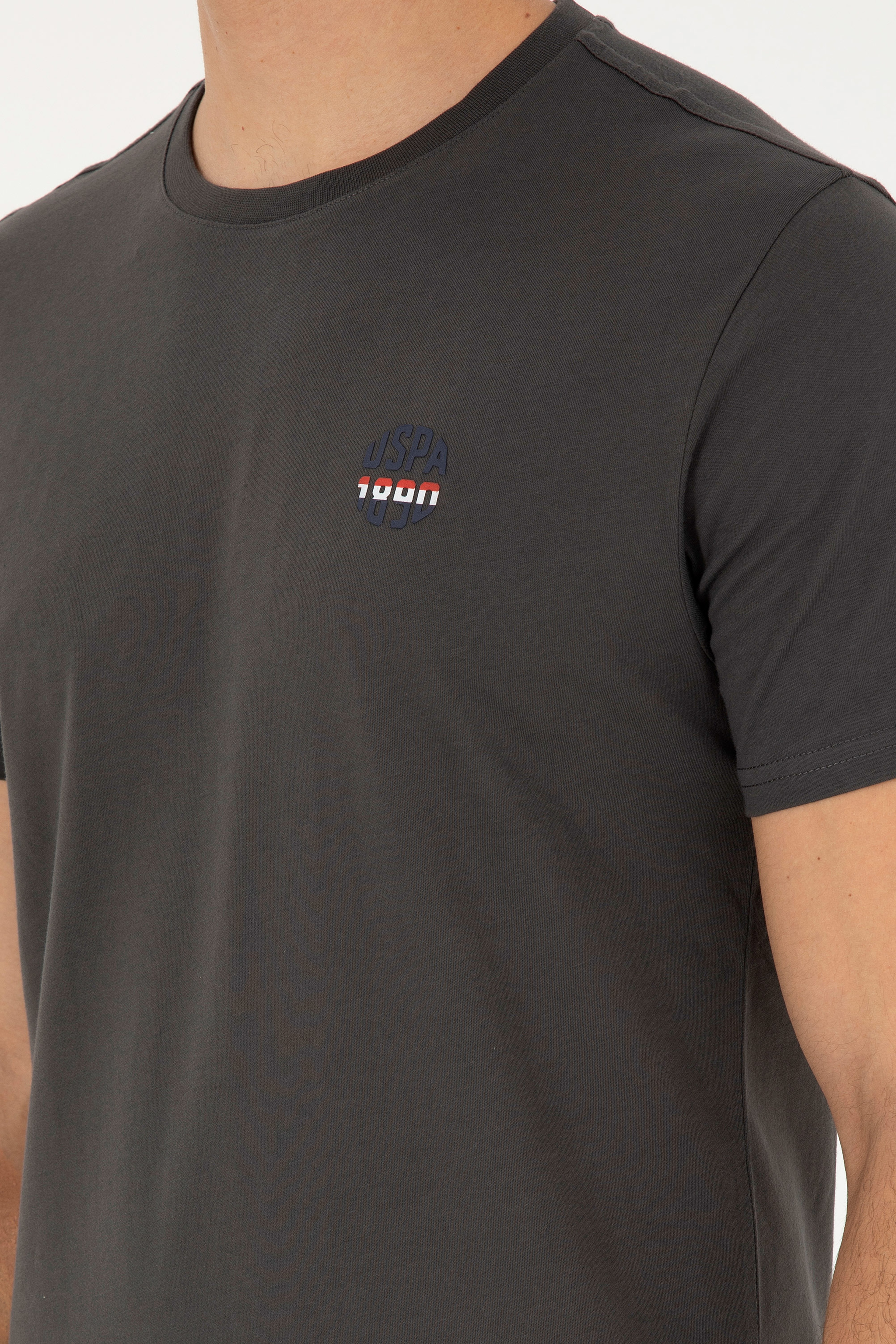 Erkek Regular Fit Bisiklet Yaka Antrasit Tişört - Image 7
