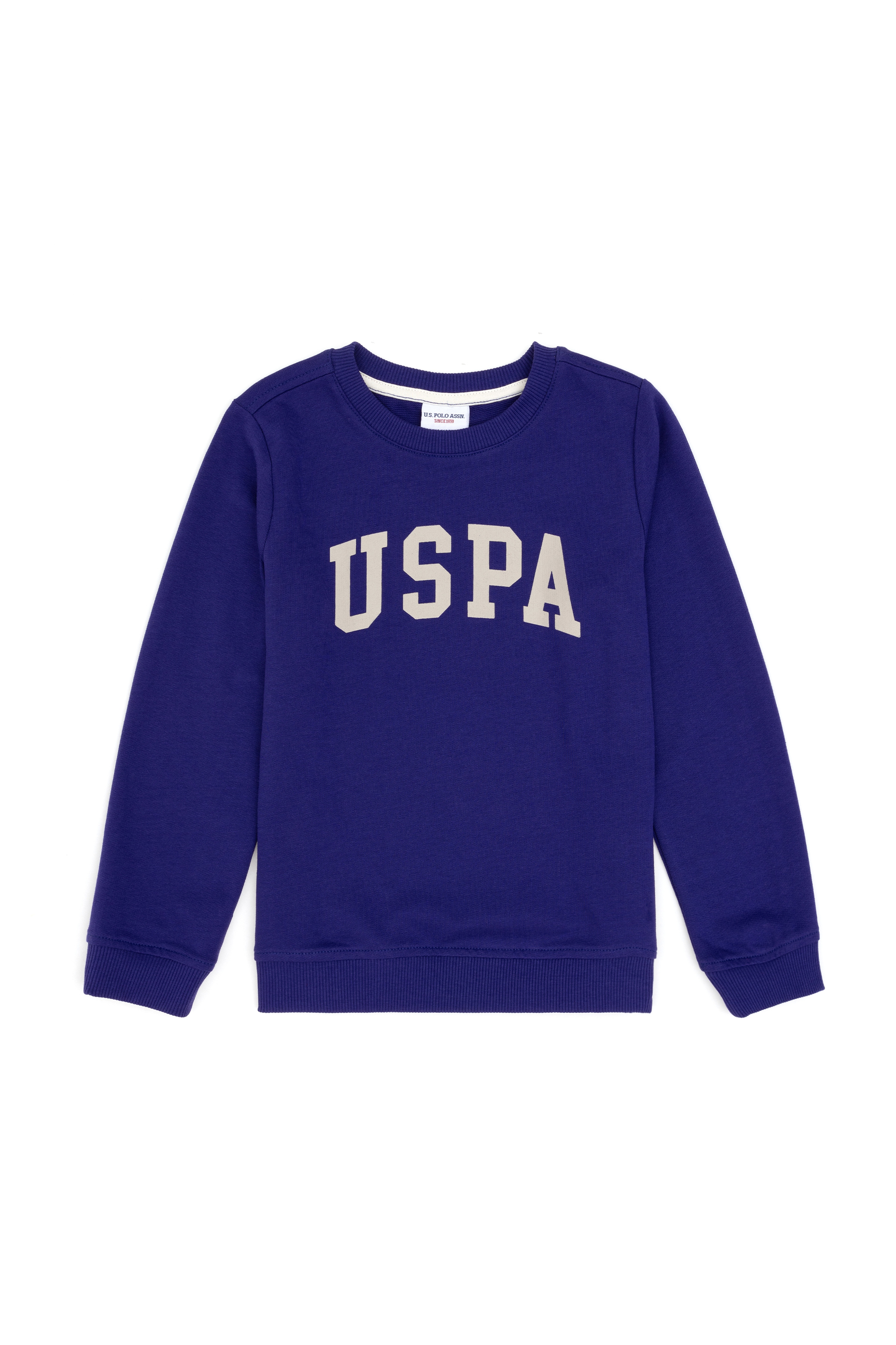 Erkek Çocuk Mor Basic Bisiklet Yaka Sweatshirt - Image 3