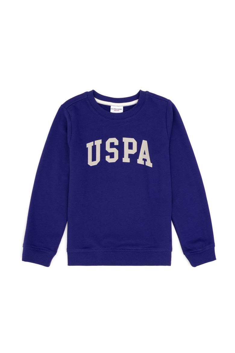 Erkek Çocuk Mor Basic Bisiklet Yaka Sweatshirt - 50293474134