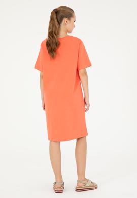 Kadın Nar Çiçeği Örme Elbise - 50289208060