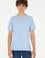 Erkek Regular Fit Bisiklet Yaka Açık Mavi Basic Tişört