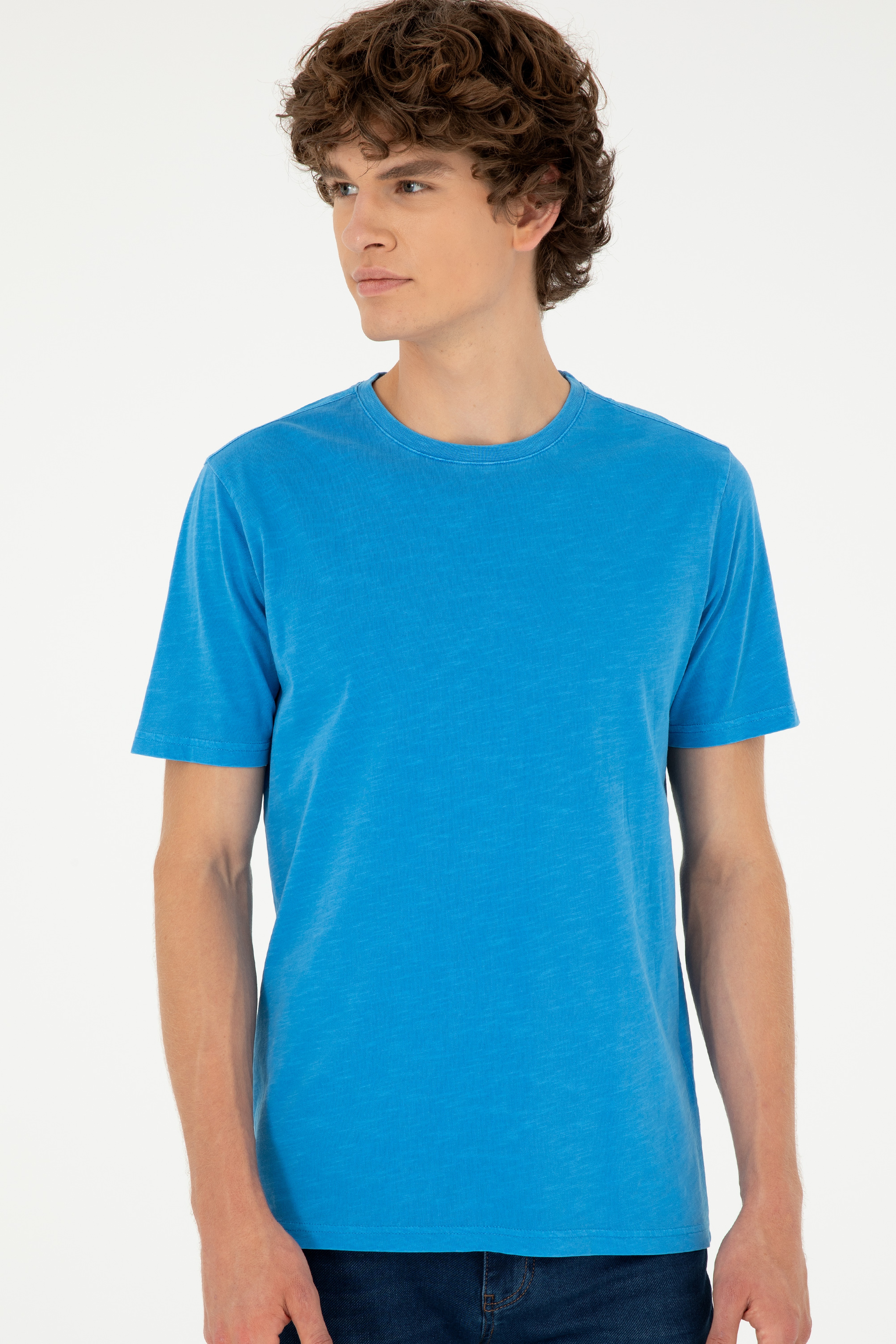 Erkek Regular Fit Bisiklet Yaka Saks Basic Tişört - Image 3