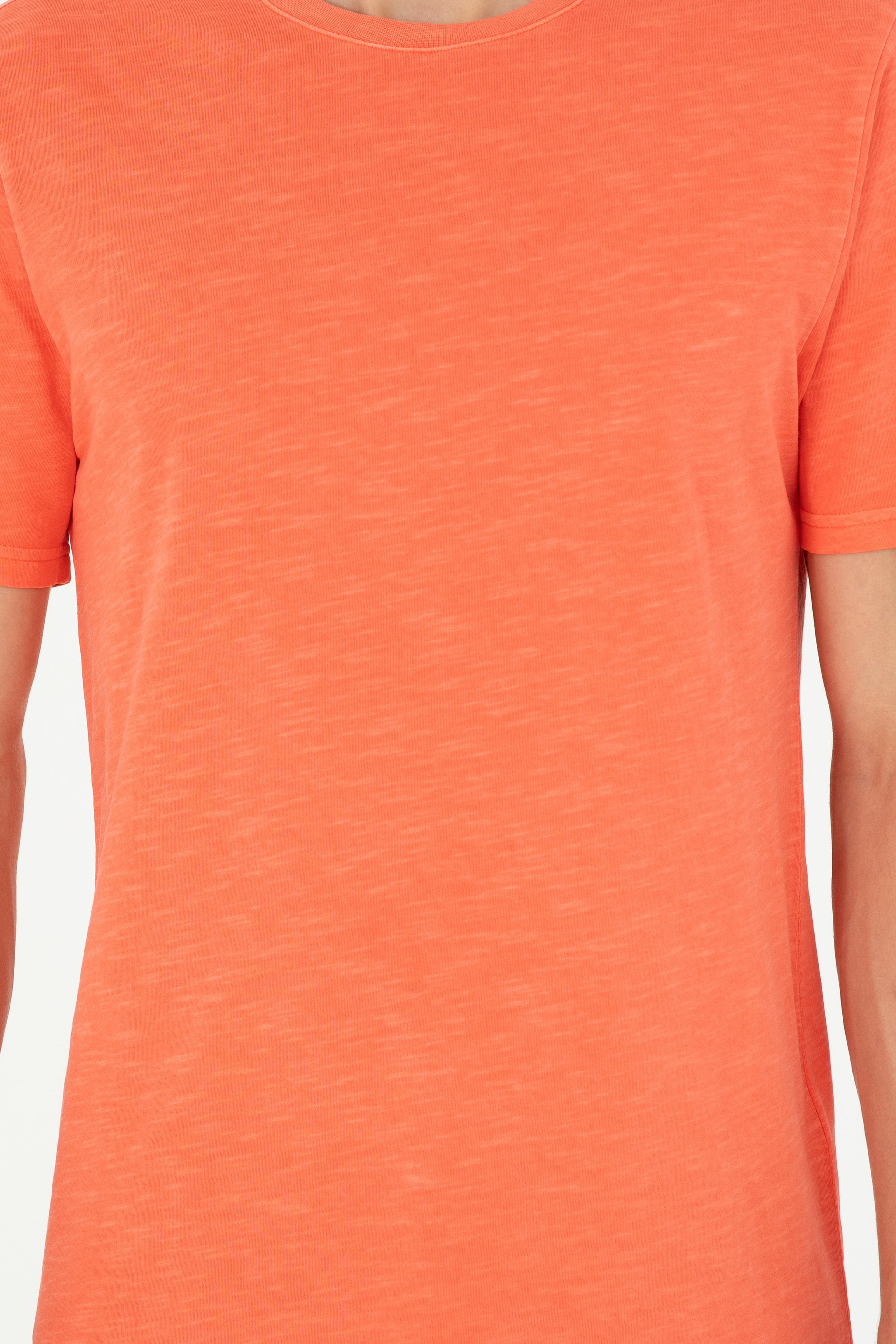 Erkek Regular Fit Bisiklet Yaka Nar Çiçeği Basic Tişört - Image 6