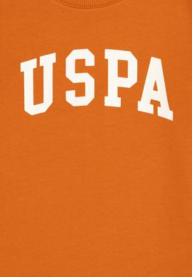 Erkek Çocuk Tarçın Basic Bisiklet Yaka Sweatshirt - 50293474094