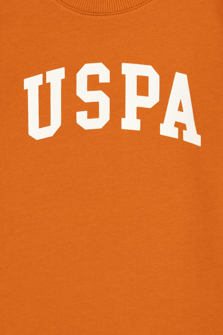 Erkek Çocuk Tarçın Basic Bisiklet Yaka Sweatshirt - 50293474094