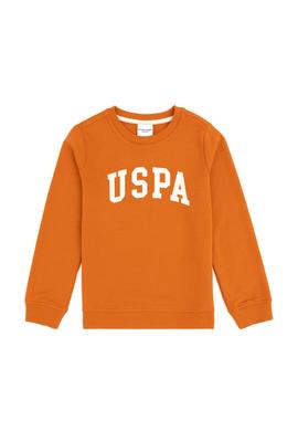 Erkek Çocuk Tarçın Basic Bisiklet Yaka Sweatshirt - 50293474094