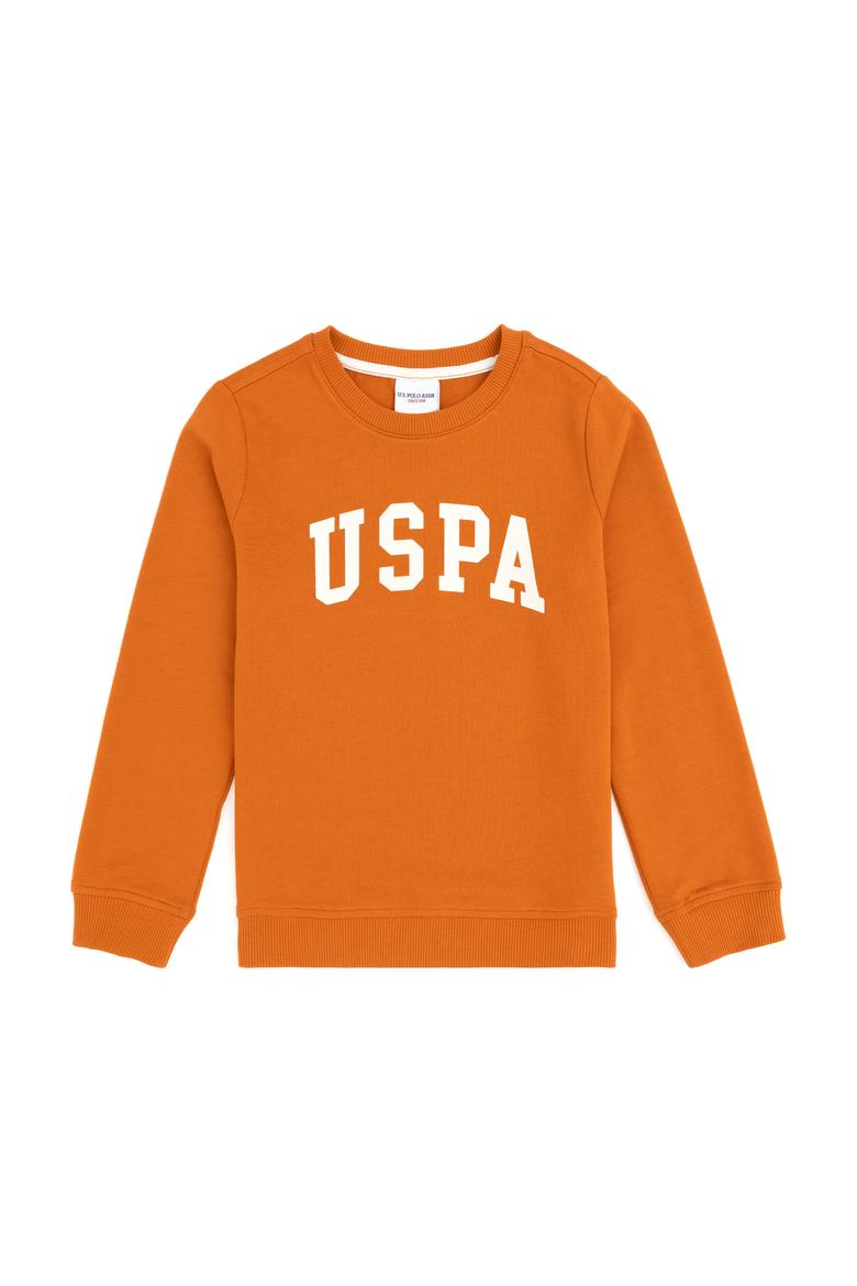Erkek Çocuk Tarçın Basic Bisiklet Yaka Sweatshirt
