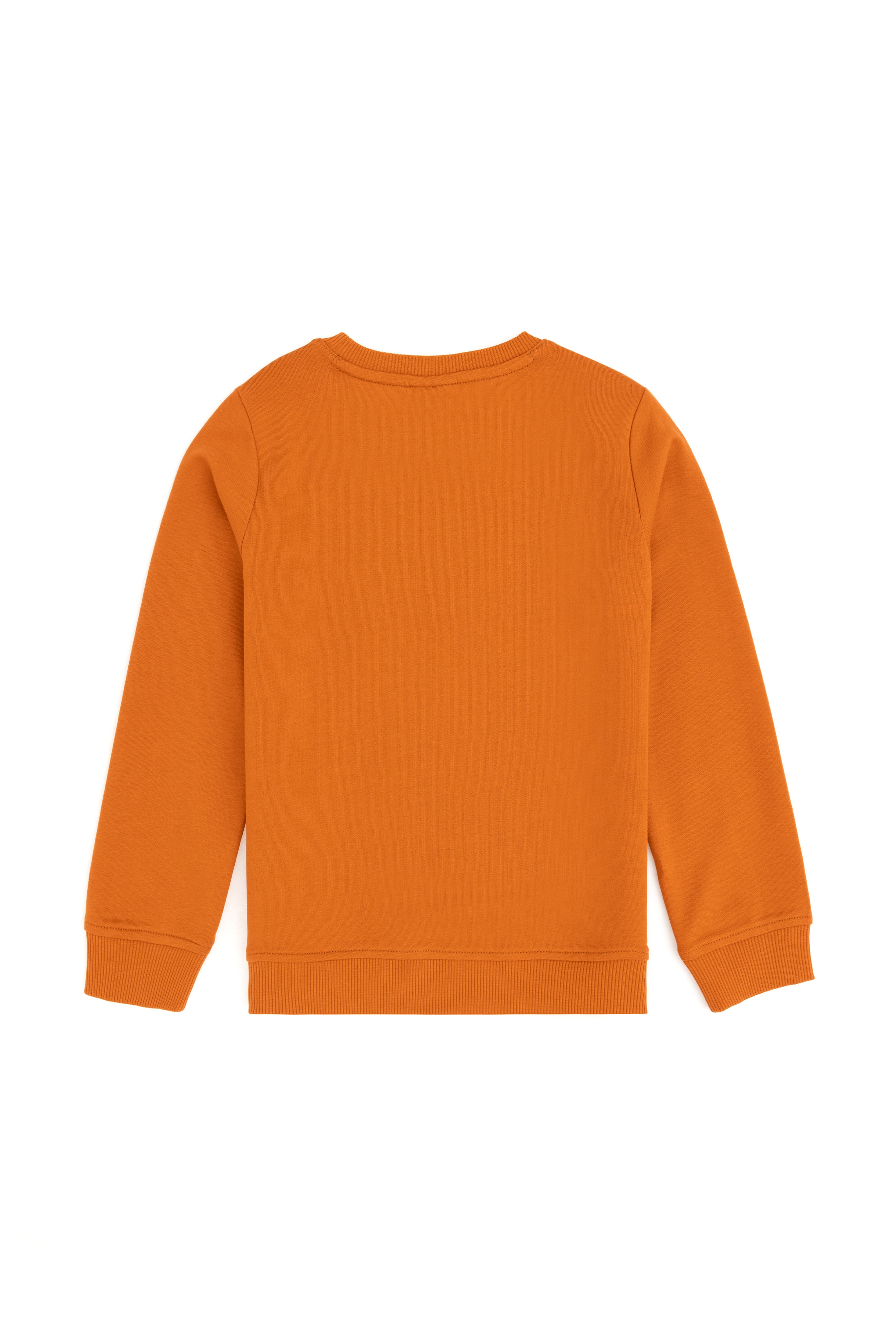Erkek Çocuk Tarçın Basic Bisiklet Yaka Sweatshirt