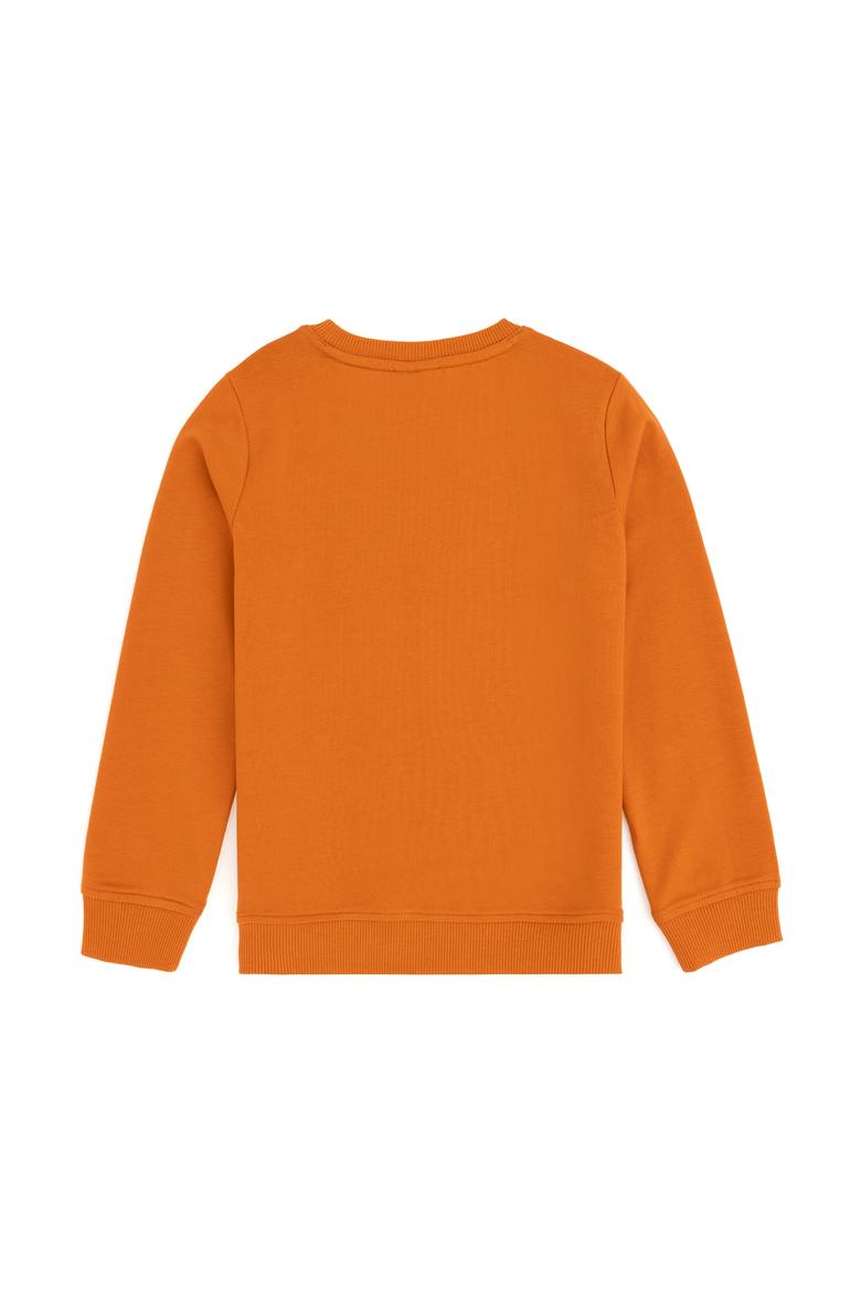 Erkek Çocuk Tarçın Basic Bisiklet Yaka Sweatshirt - 50293474094