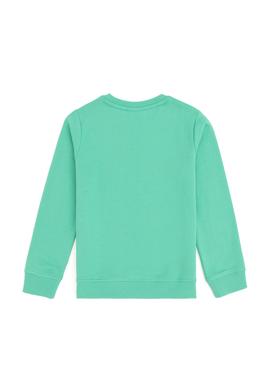 Erkek Çocuk Mint Basic Bisiklet Yaka Sweatshirt - 50293474078