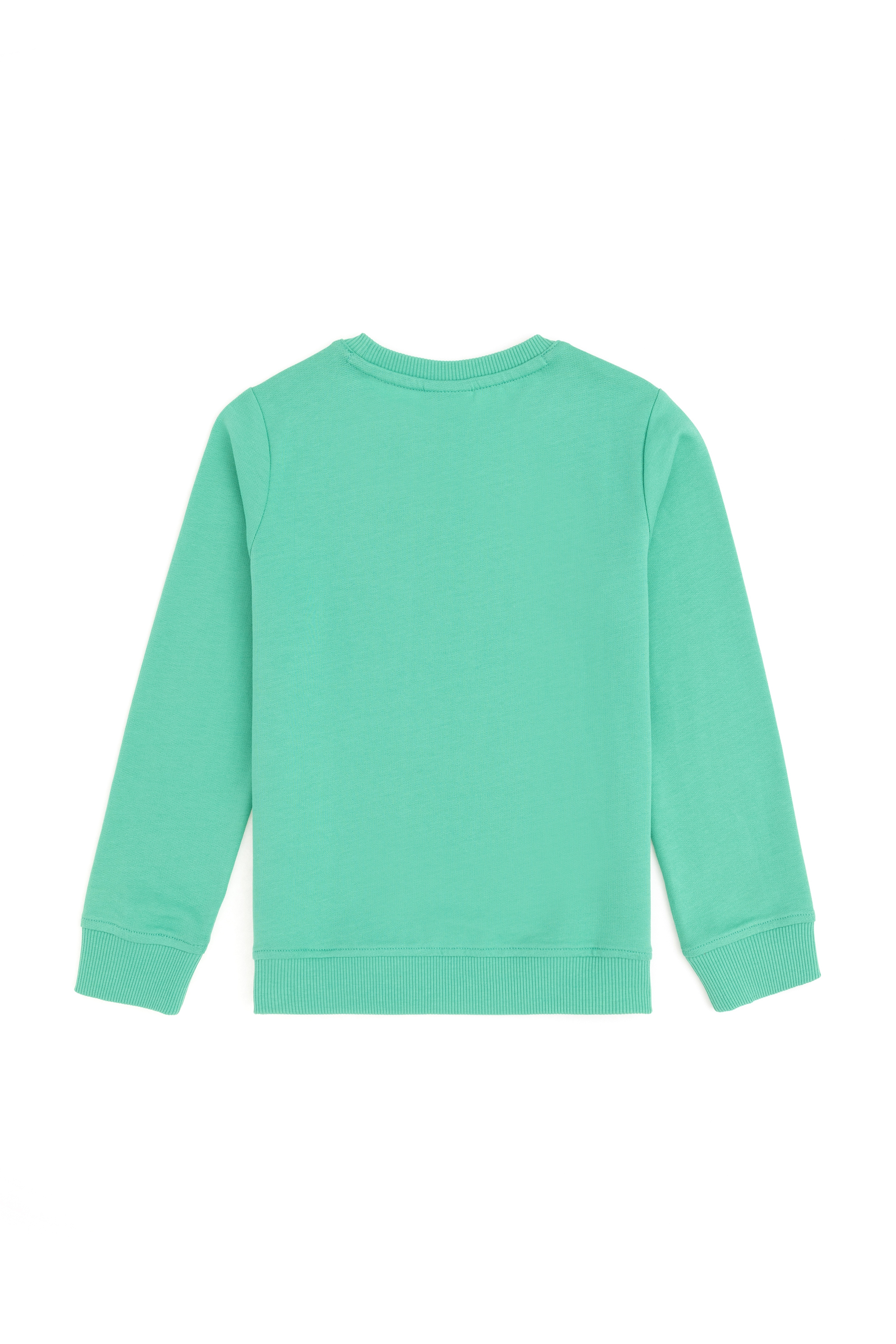 Erkek Çocuk Mint Basic Bisiklet Yaka Sweatshirt - Image 2