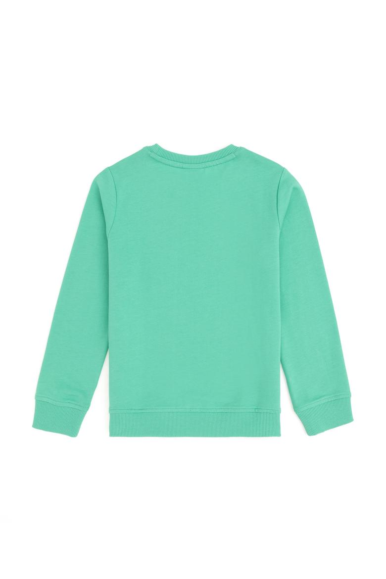 Erkek Çocuk Mint Basic Bisiklet Yaka Sweatshirt - 50293474078