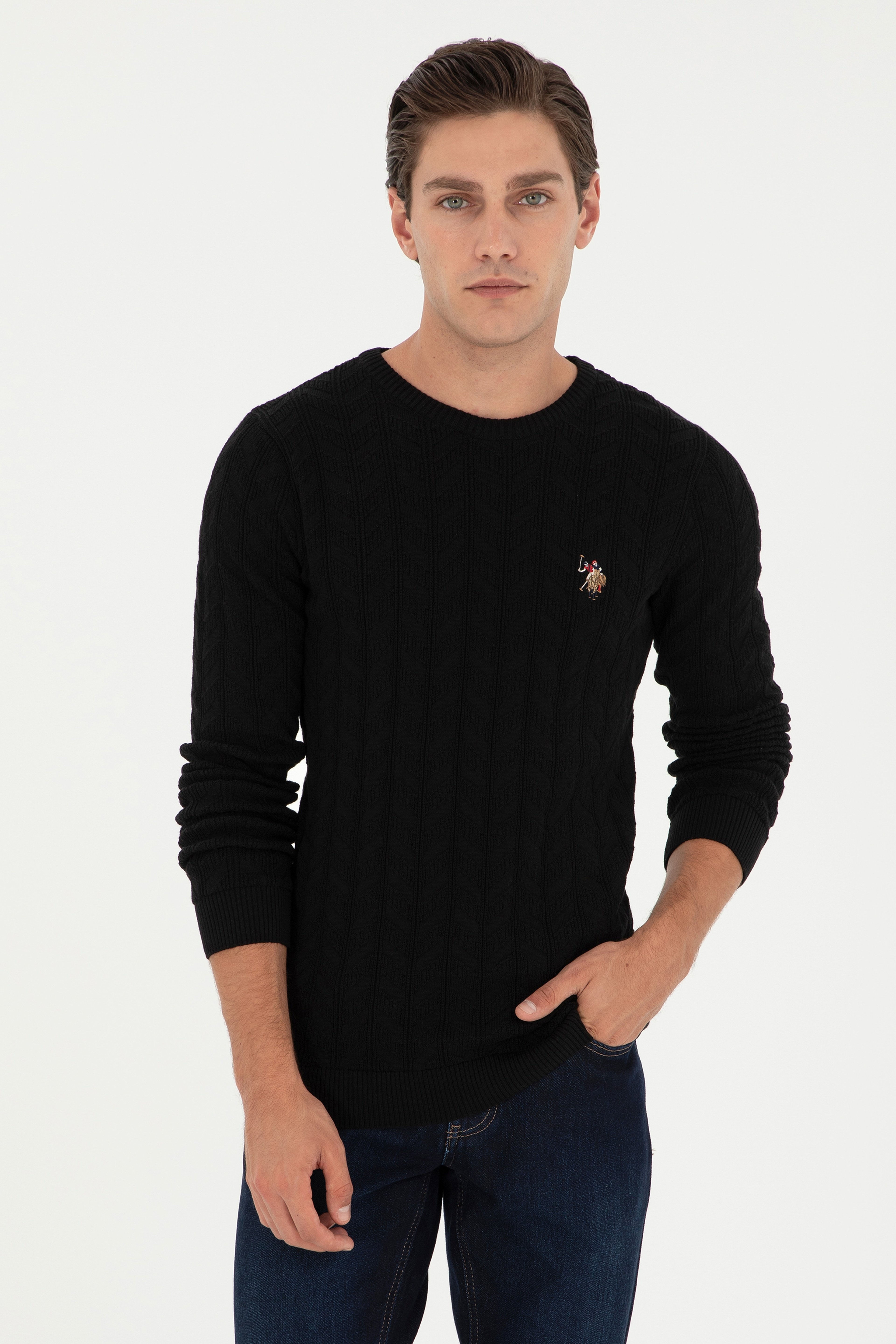 Erkek Slim Fit Bisiklet Yaka Siyah Basic Kazak - Image 1