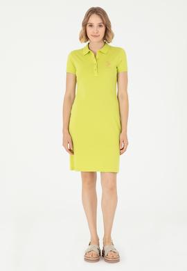 Kadın Fıstık Yeşili Polo Yaka Mini Boy Örme Elbise - 50280069114