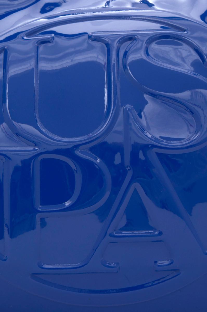 Kadın Lacivert Rugan Kol Çantası