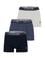 Erkek 3'lü Boxer Takımı