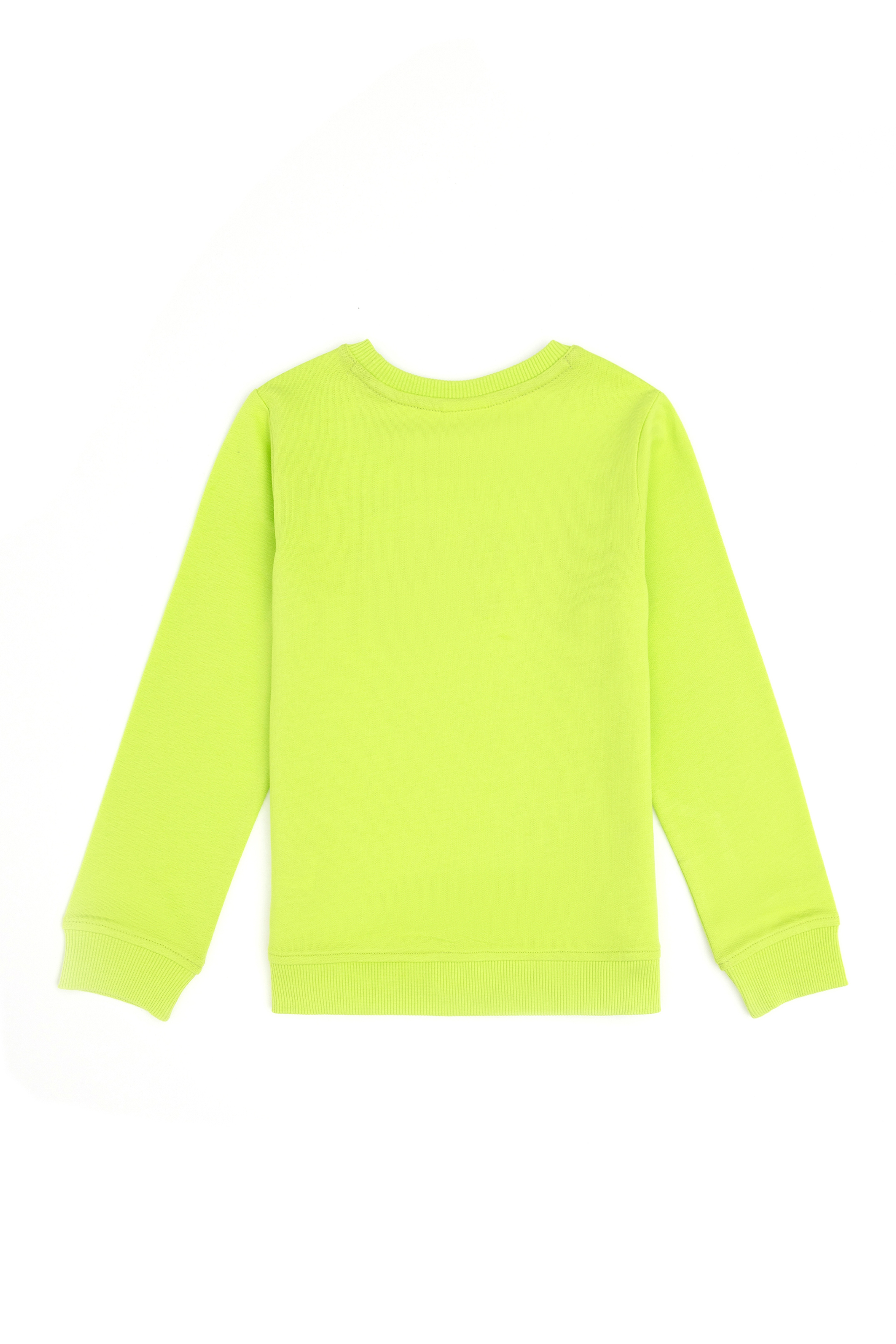 Erkek Çocuk Elma Yeşili Basic Bisiklet Yaka Sweatshirt - Image 2