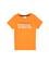 Erkek Çocuk Turuncu Basic Bisiklet Yaka Tişört