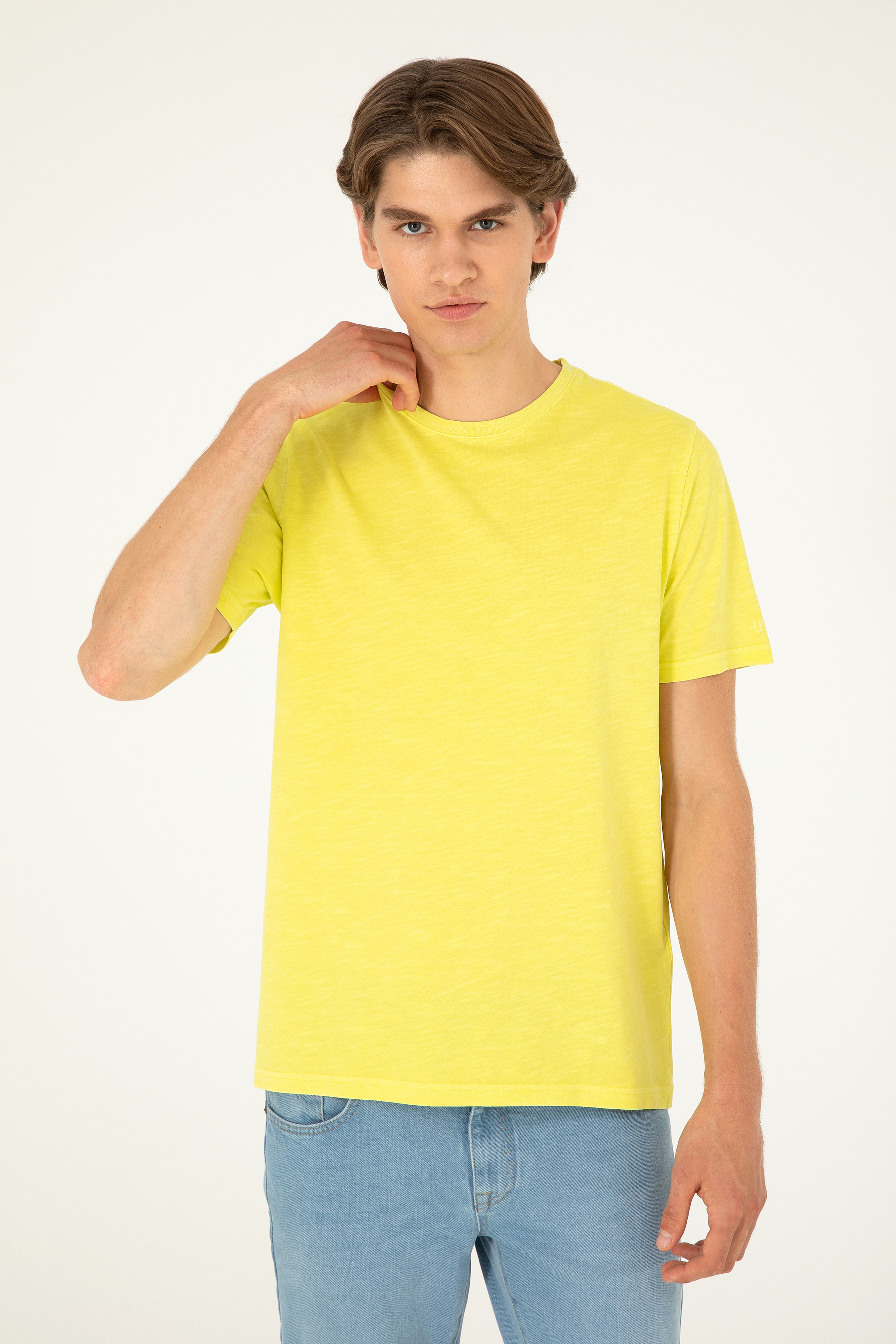 Erkek Regular Fit Bisiklet Yaka Fıstık Yeşili Basic Tişört - Image 1