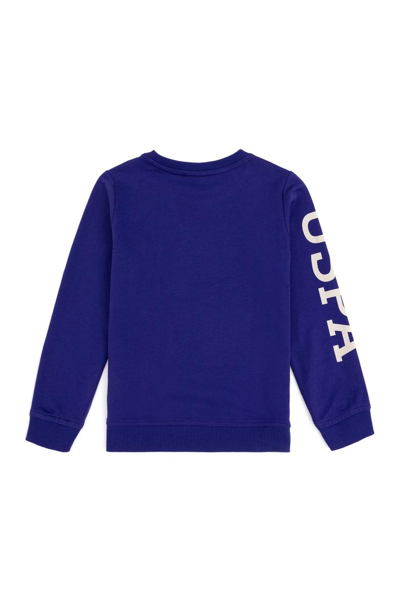 Erkek Çocuk Mor Basic Bisiklet Yaka Sweatshirt - 50293643057