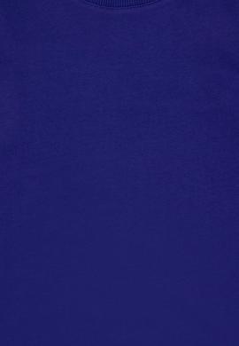 Erkek Çocuk Mor Basic Bisiklet Yaka Sweatshirt - 50293643057