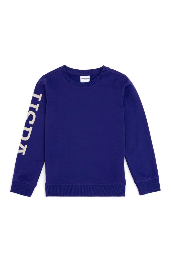 Erkek Çocuk Mor Basic Bisiklet Yaka Sweatshirt