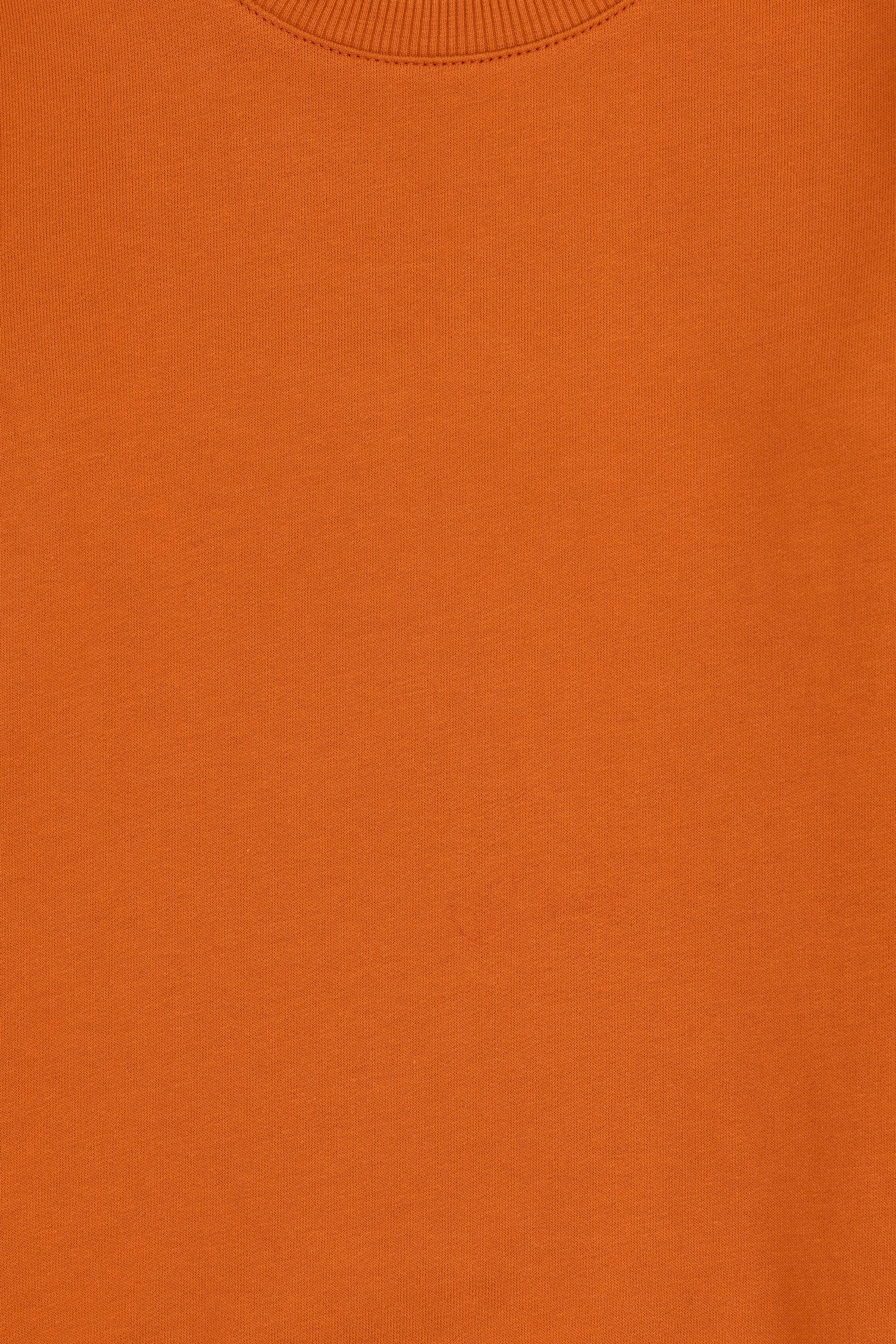Erkek Çocuk Tarçın Bisiklet Yaka Sweatshirt - Image 3