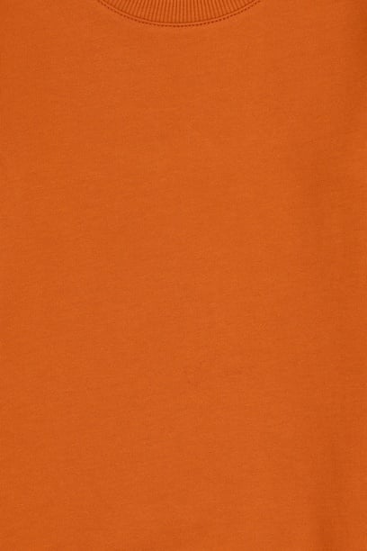 Erkek Çocuk Tarçın Bisiklet Yaka Sweatshirt