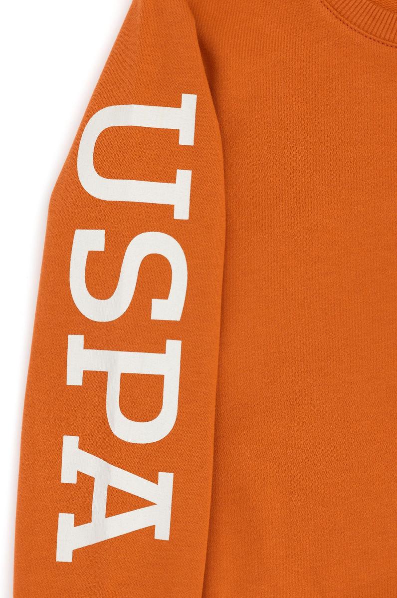 Erkek Çocuk Tarçın Bisiklet Yaka Sweatshirt
