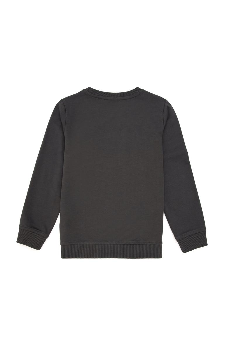 Erkek Çocuk Antrasit Bisiklet Yaka Sweatshirt - 50293617007